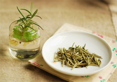 1610505340398193.jpg 迷迭香.jpg