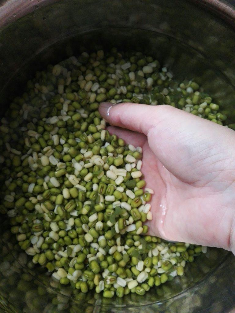 1610506767426974.jpg 跑綠豆.jpg